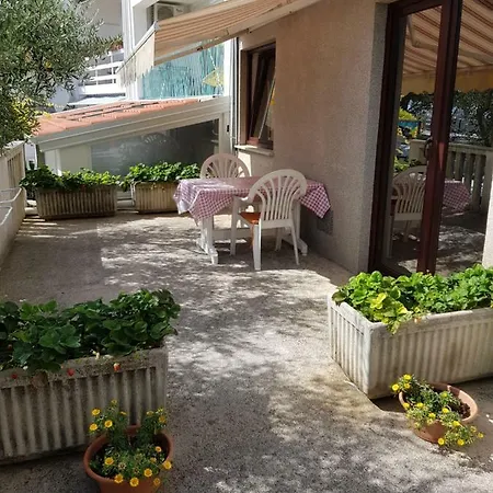Vukusic 3*