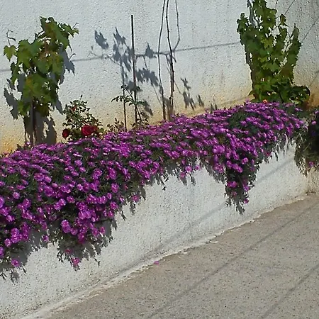 Πανσιόν Vukusic