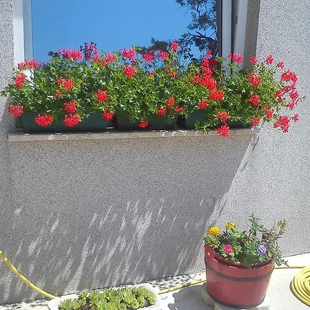Vukusic Crikvenica