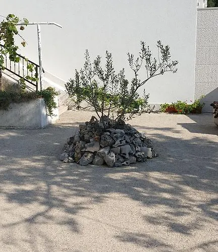 Vukusic تْسْغيكفانِتْسا