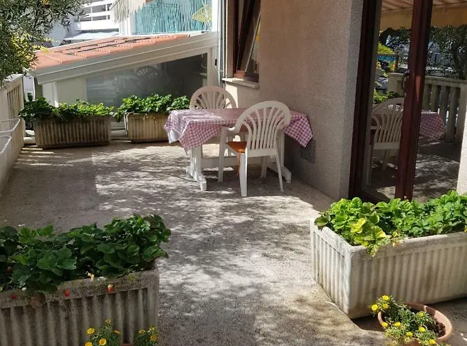 Vukusic 3*